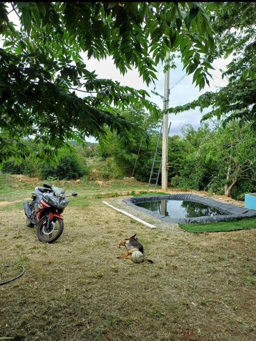 Sattva Farmstay Bangalore Ngoại thất bức ảnh